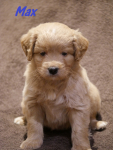 Max