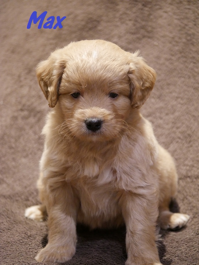 Max