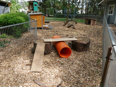 Welpenhaus006