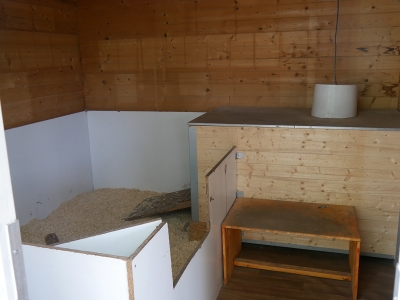 Welpenhaus007