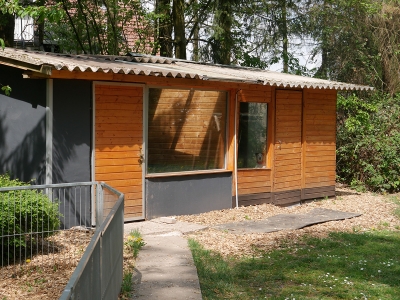 Welpenhaus008