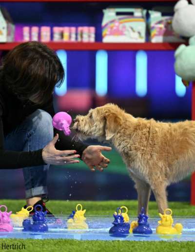 TeamDori-RTL-Top-Dog